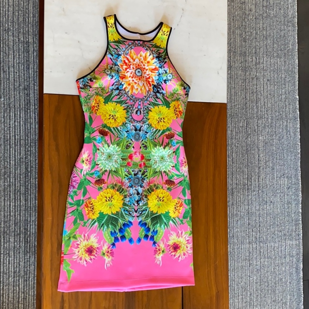 Clover Canyon mini dress (medium)